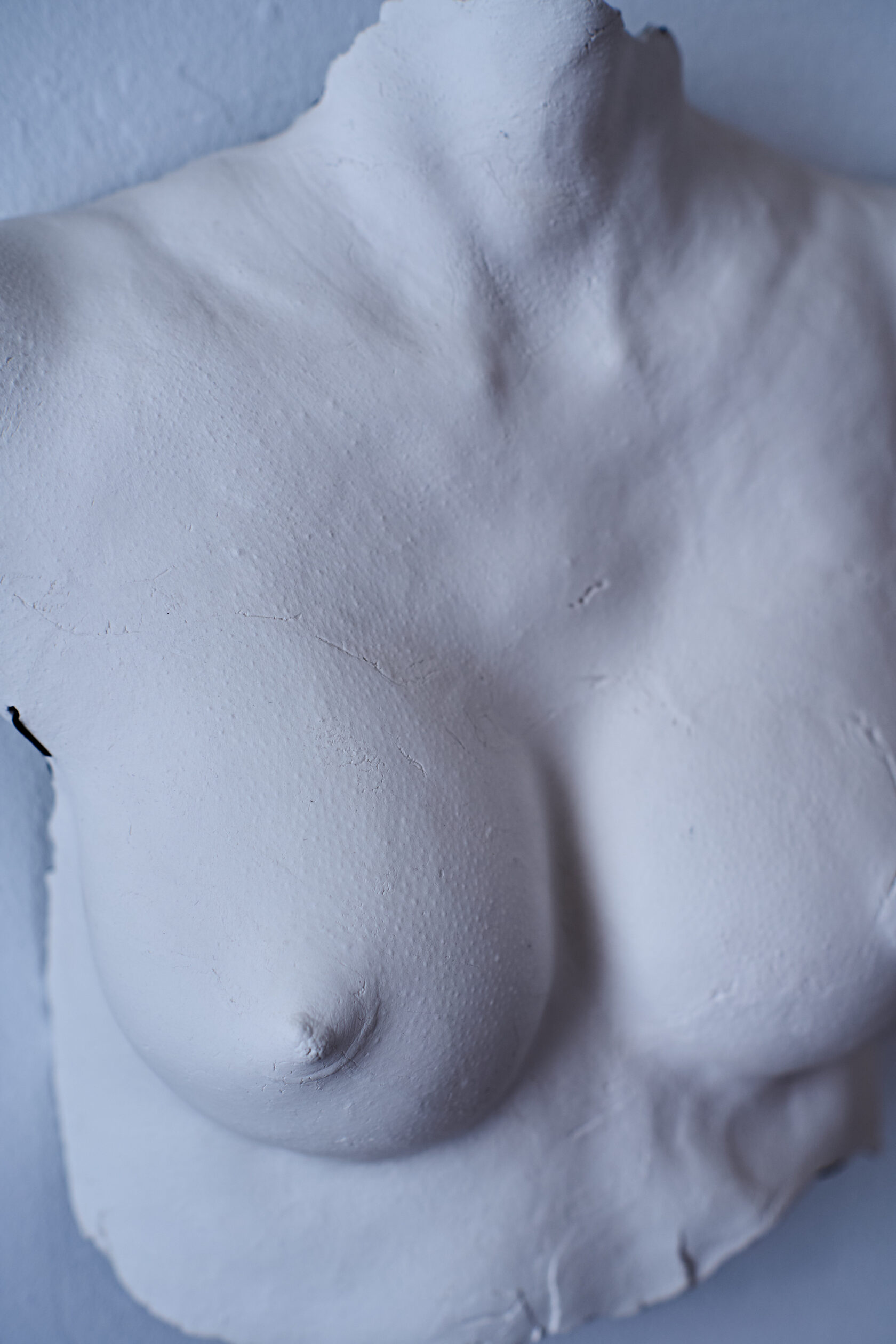 Bust // Sculpture // bsrw-o2