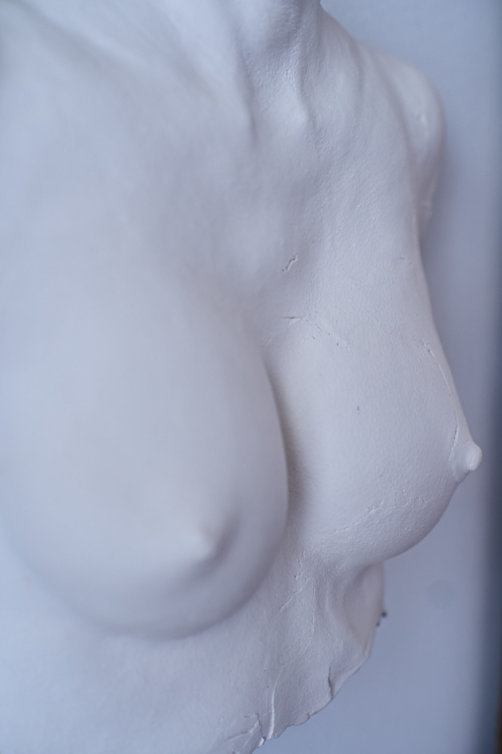 Bust // Sculpture // bsrw-o2