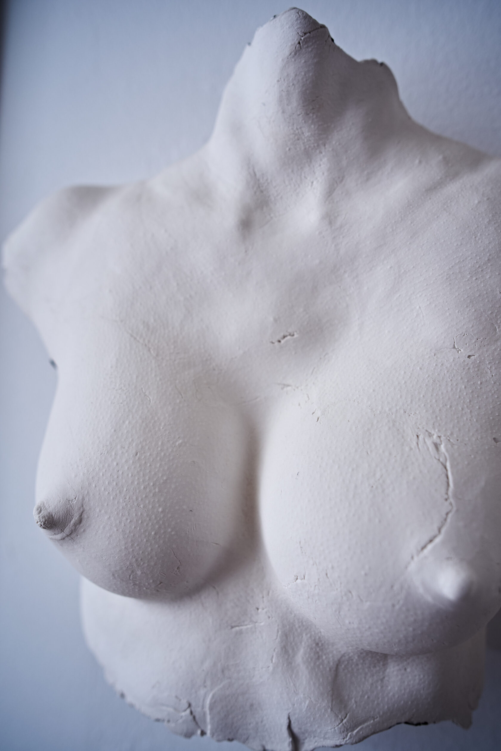 Bust // Sculpture // bsrw-o2