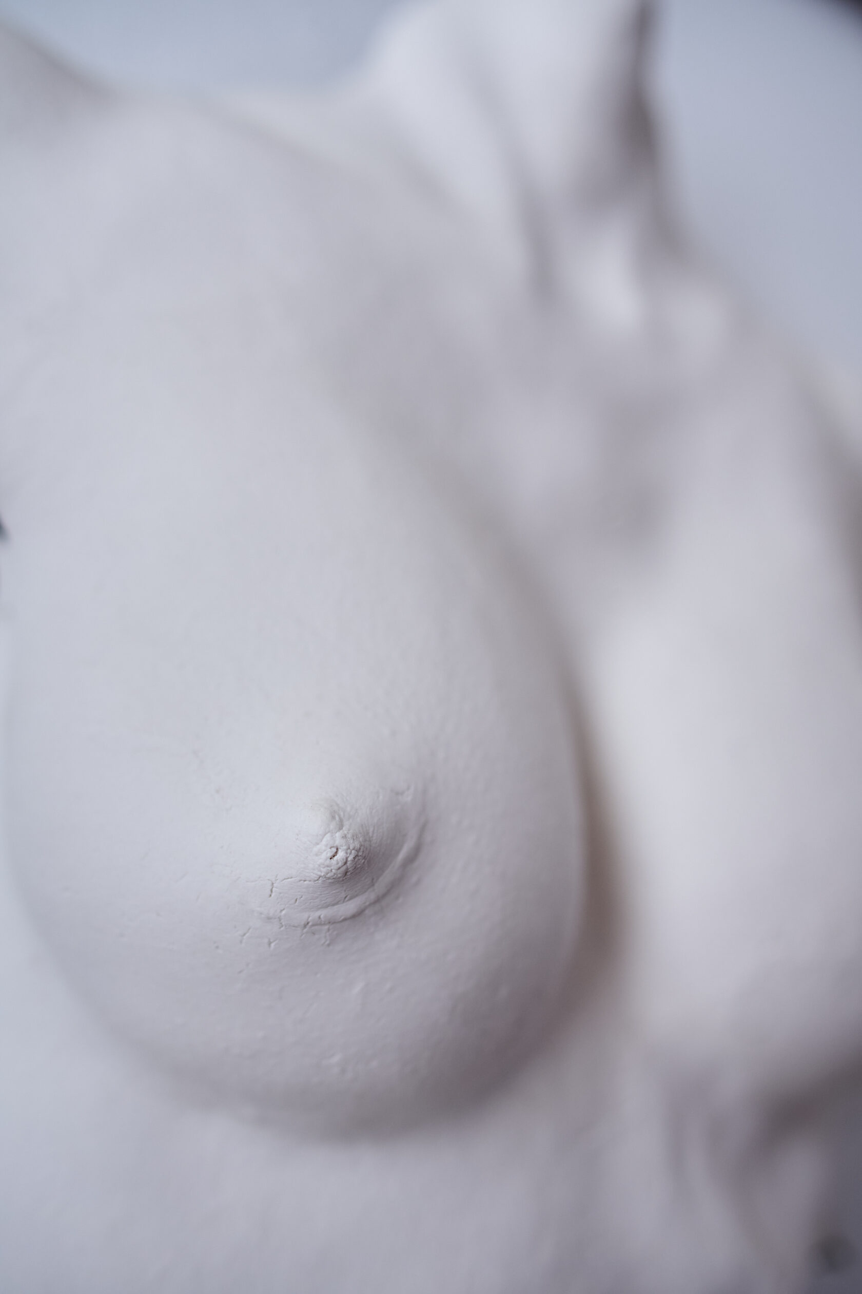 Bust // Sculpture // bsrw-o2