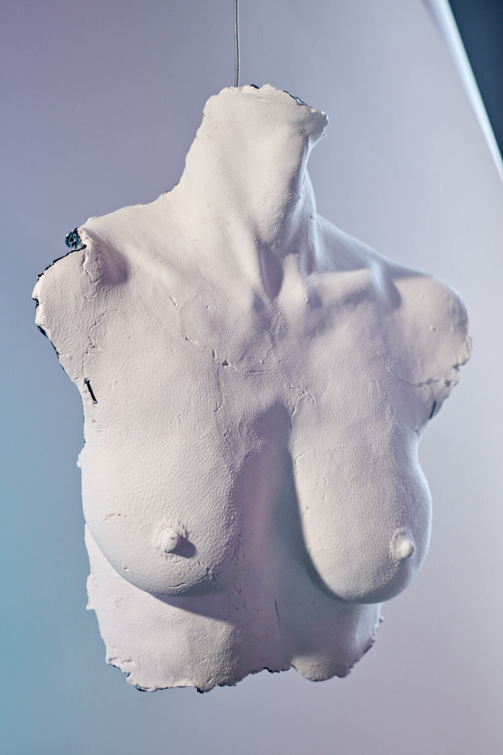 Bust // Sculpture // bwfktgl-o599