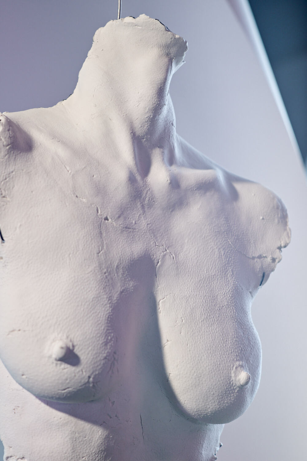 Bust // Sculpture // bwfktgl-o599