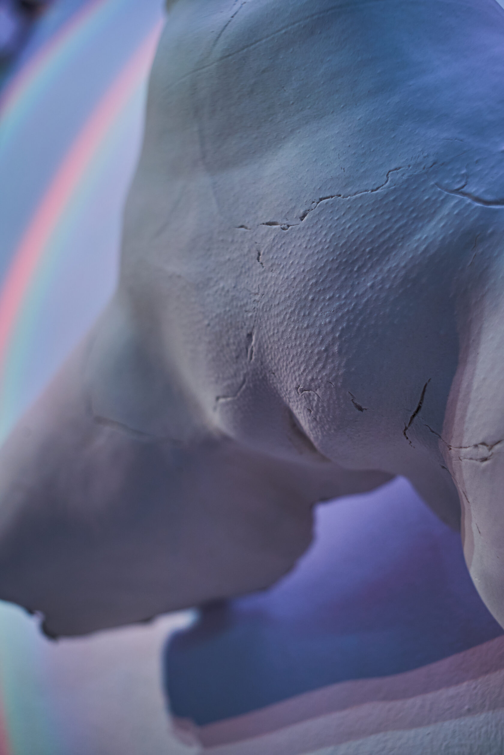 Crotch // Sculpture // csrw-o36
