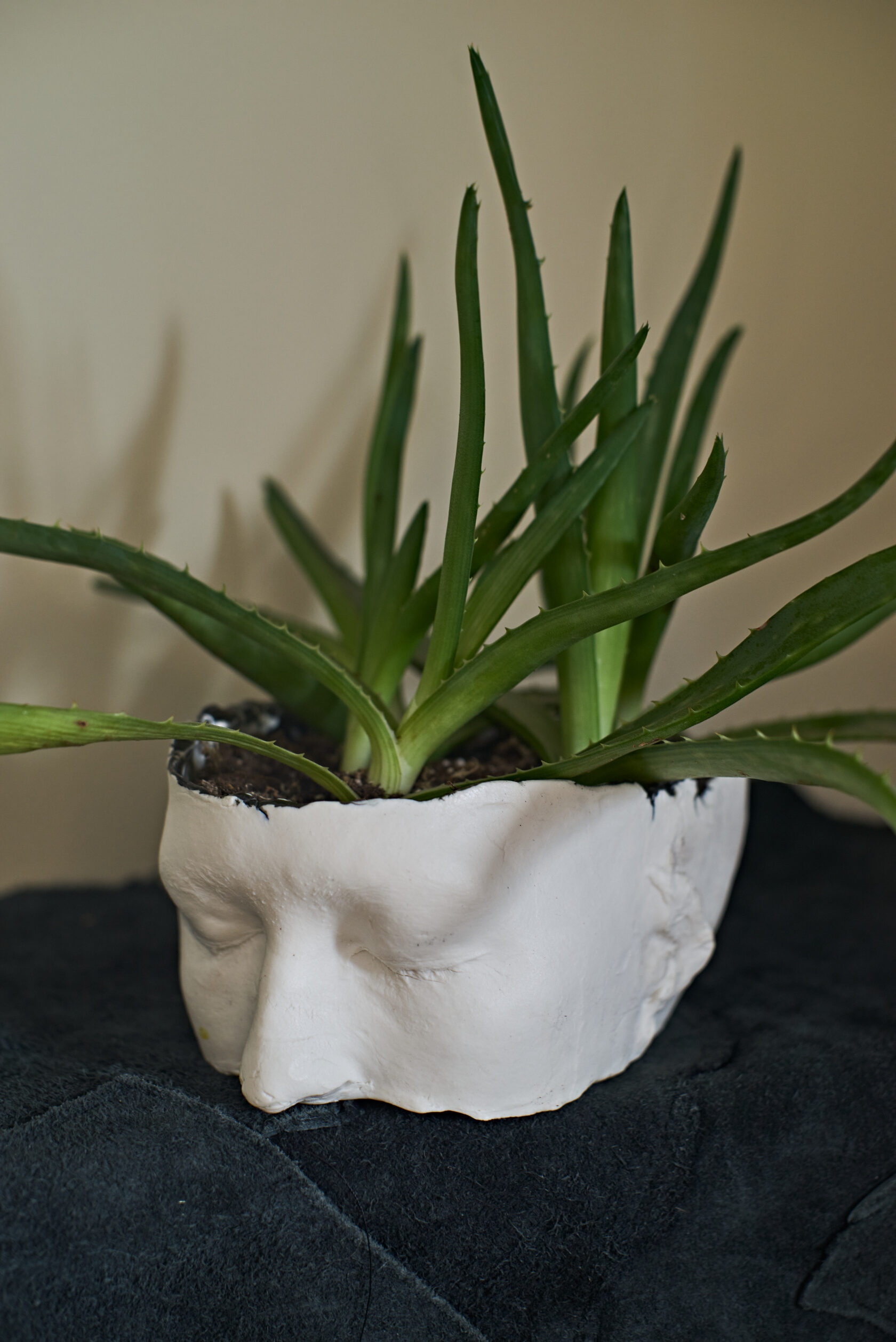Face Small // flowerpot // fsfaw-oo1