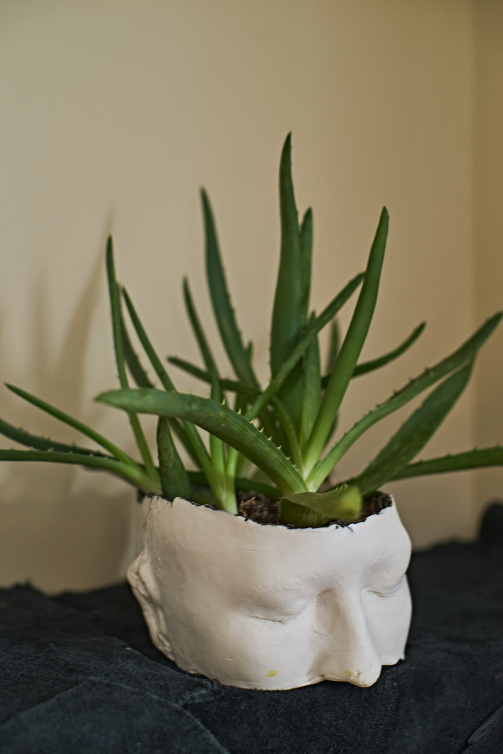 Face Small // flowerpot // fsfaw-oo1