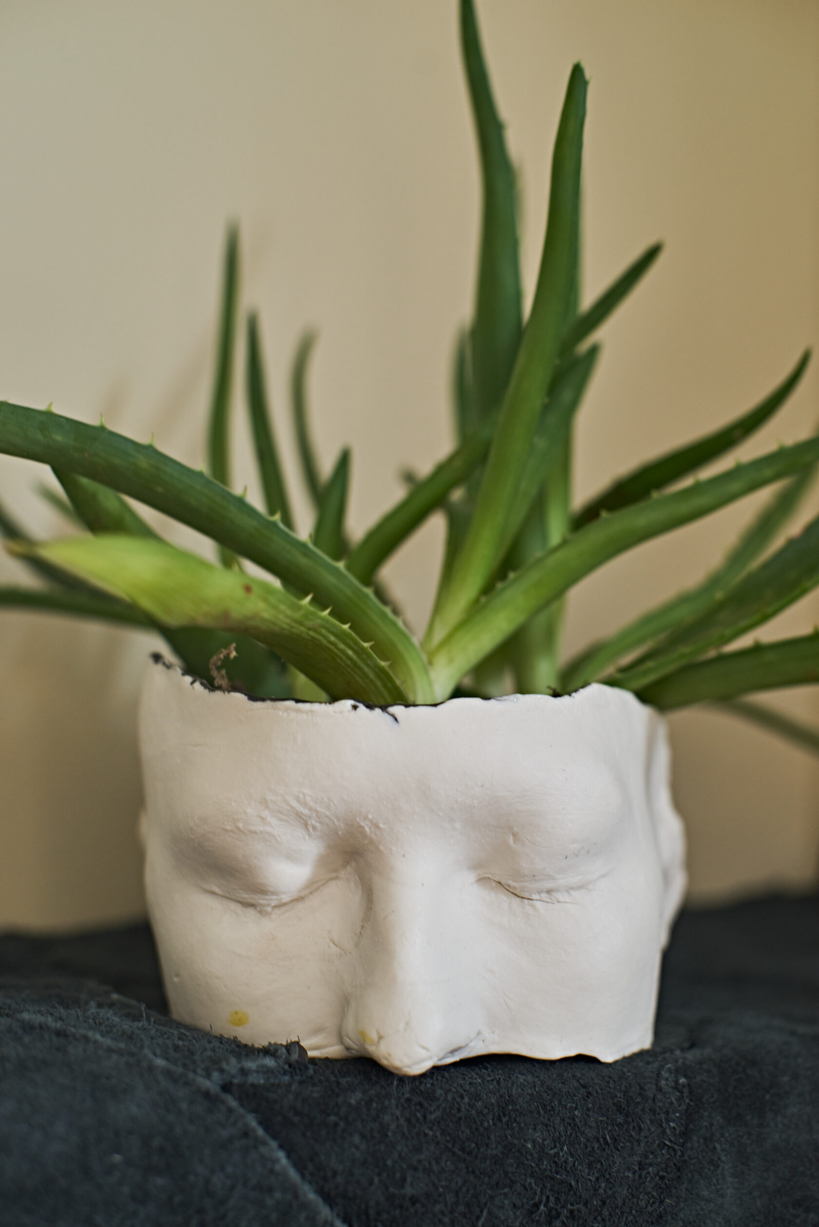 Face Small // flowerpot // fsfaw-oo1