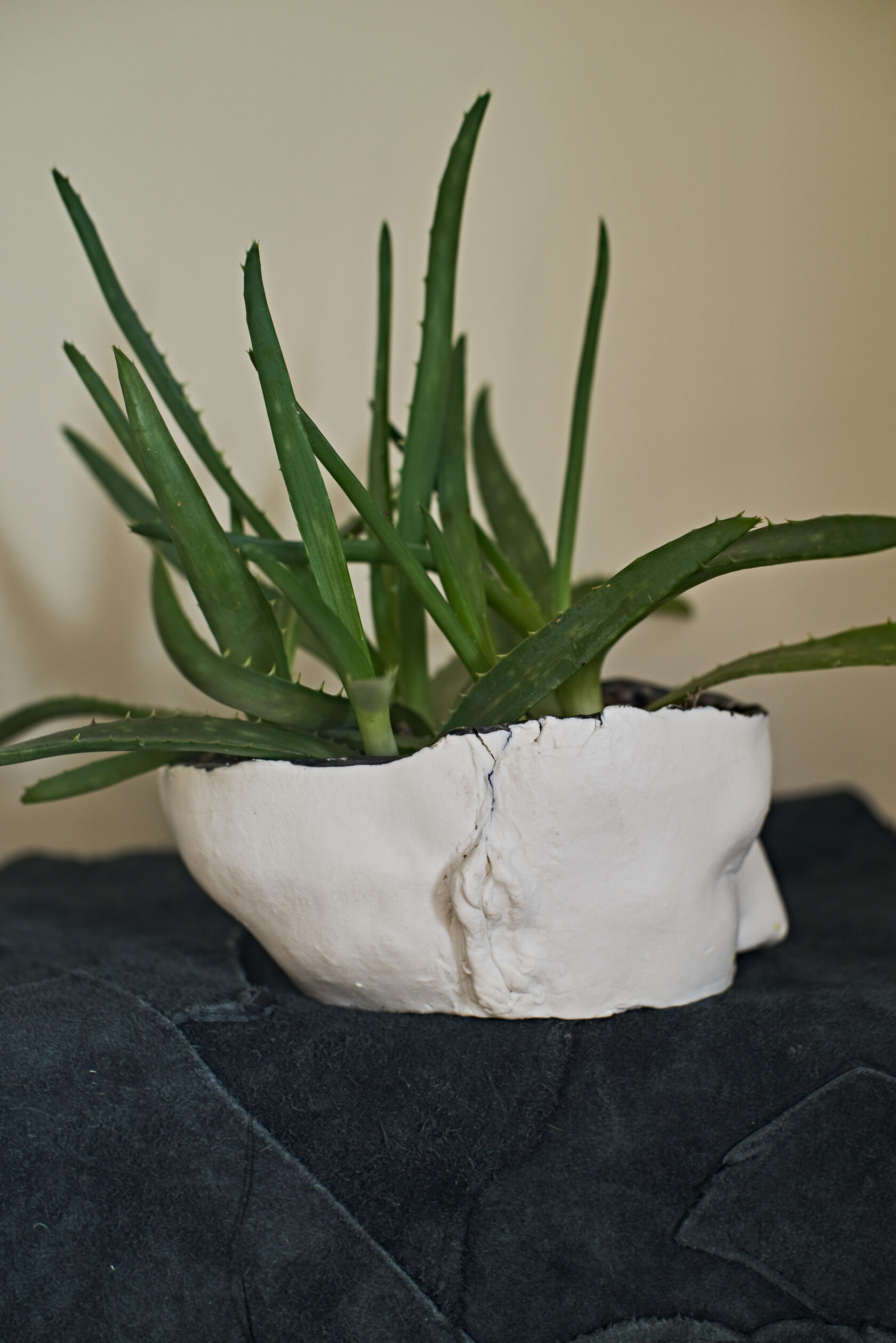 Face Small // flowerpot // fsfaw-oo1
