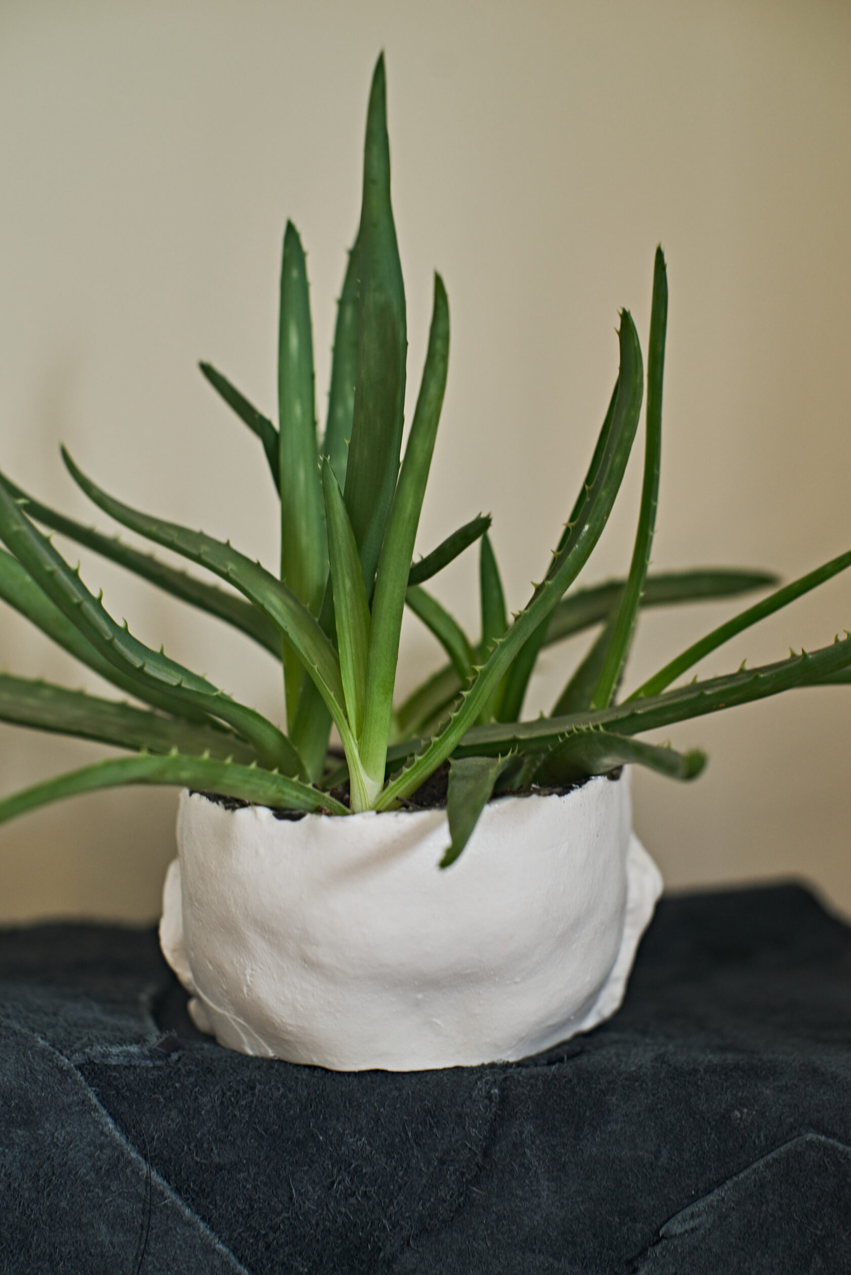 Face Small // flowerpot // fsfaw-oo1